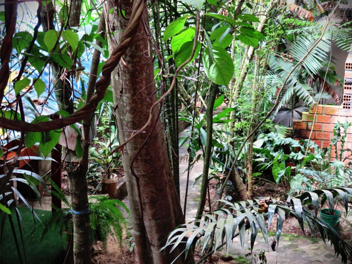 Hospedaje Ecologico Purma Wasi Tarapoto Exterior foto