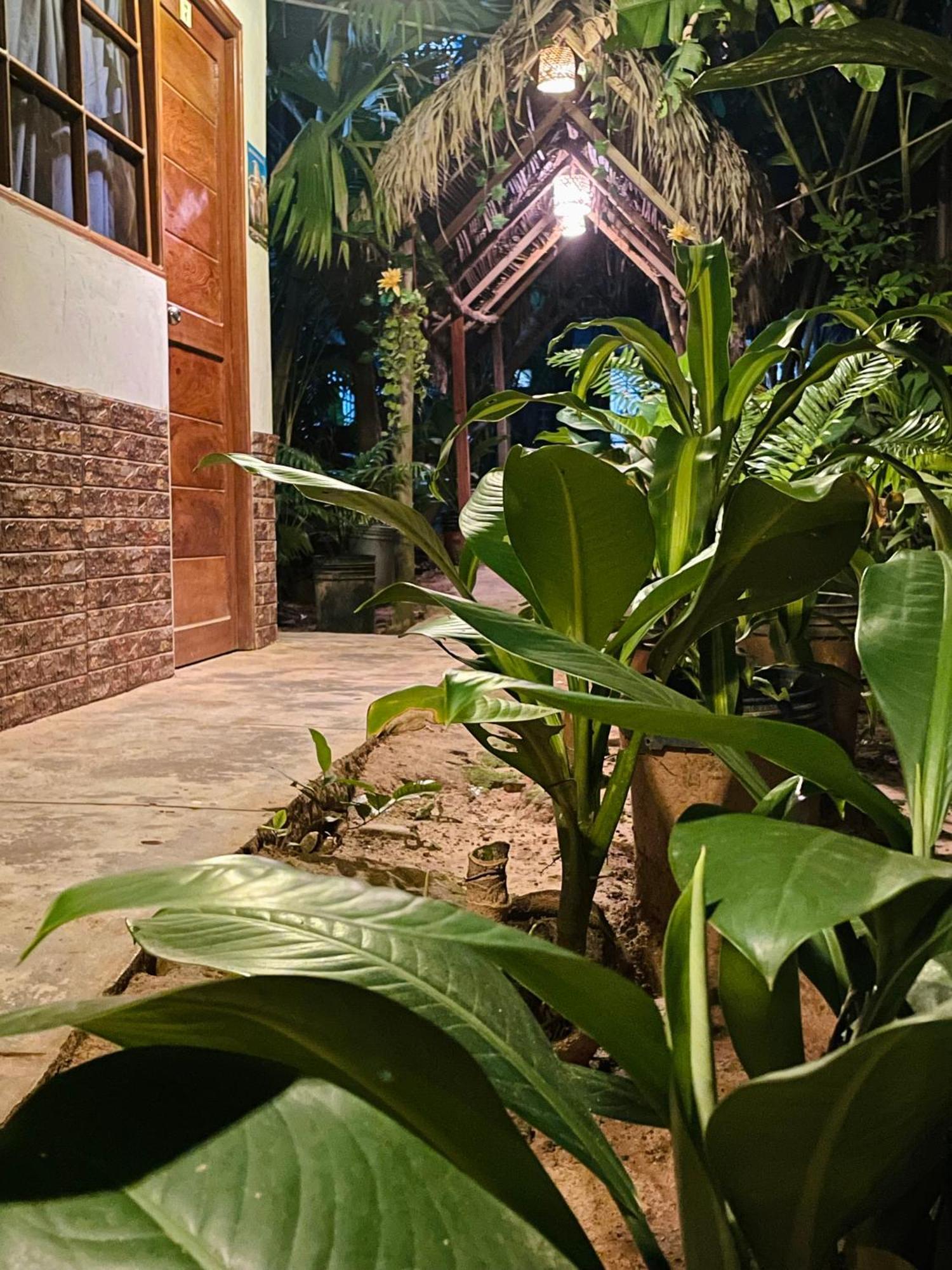 Hospedaje Ecologico Purma Wasi Tarapoto Exterior foto