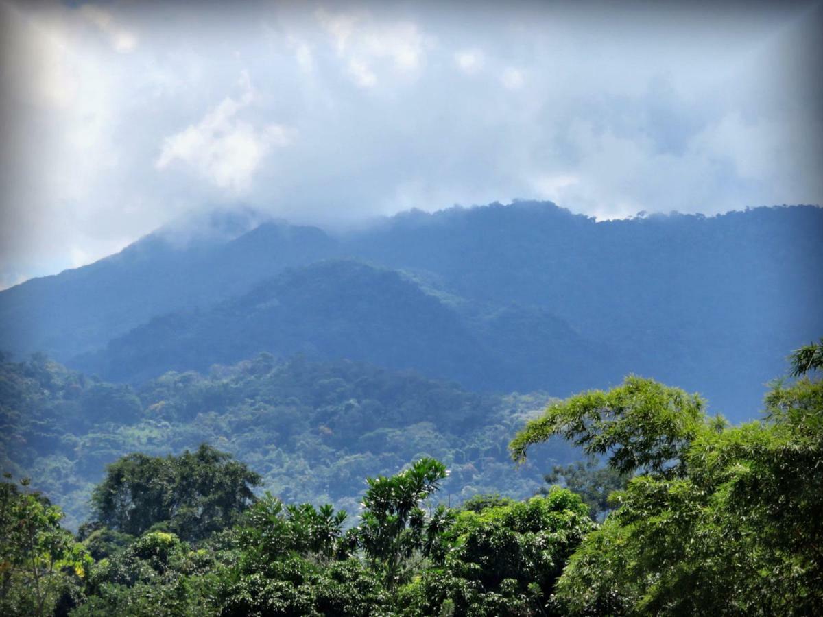 Hospedaje Ecologico Purma Wasi Tarapoto Exterior foto